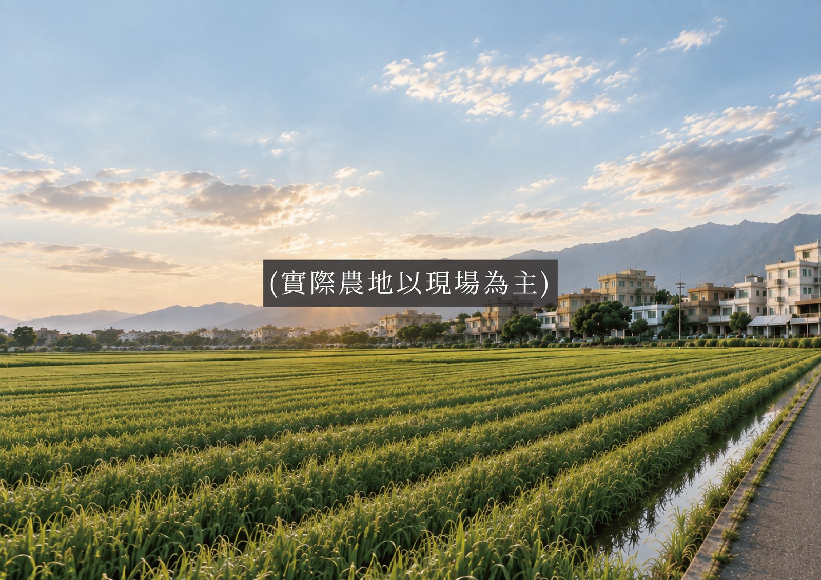 觀音高中都計內農地