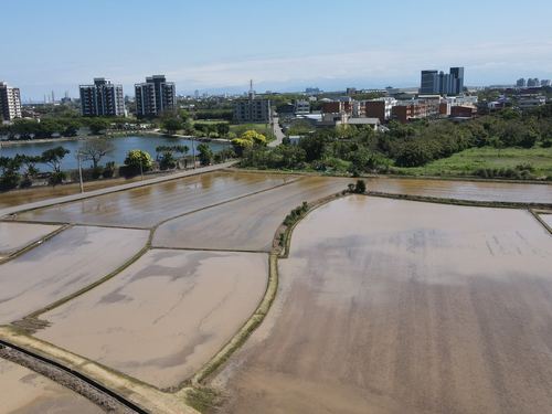 福恩路農地